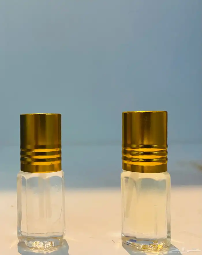 عود تايقر فيتنامي 4