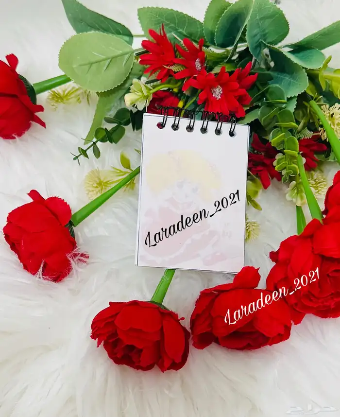 مذكرات صغيره بشخصيات كرتونيه منوعه 70