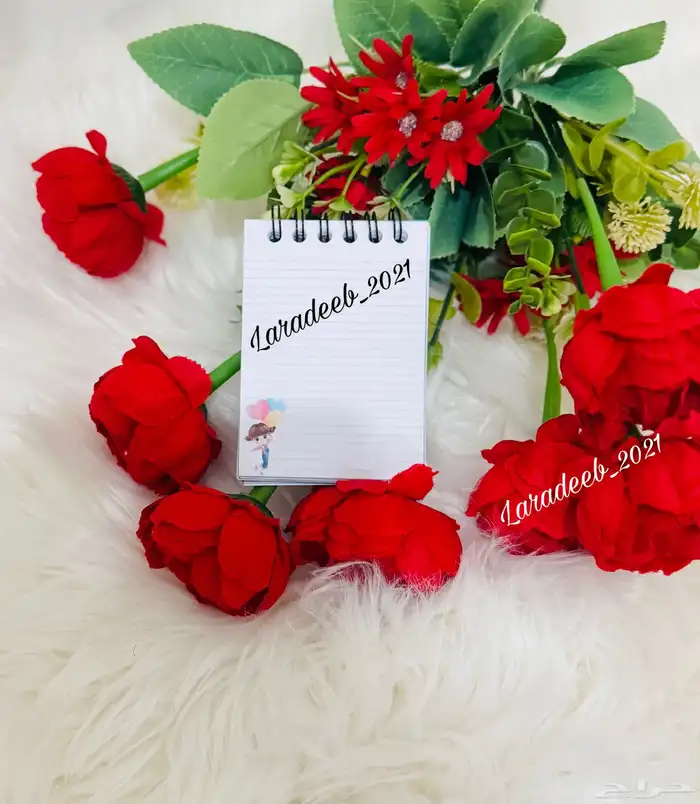 مذكرات صغيره بشخصيات كرتونيه منوعه 62