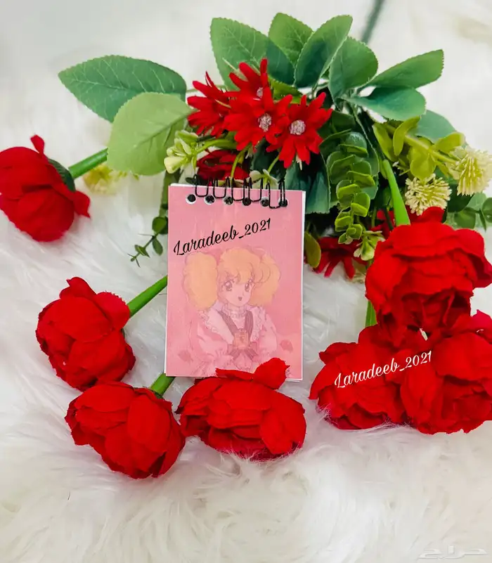 مذكرات صغيره بشخصيات كرتونيه منوعه 28