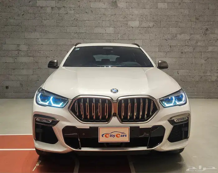 BMWx6 2022. v8 0