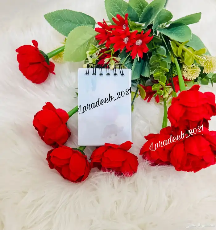 مذكرات صغيره بشخصيات كرتونيه منوعه 61