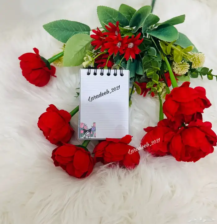مذكرات صغيره بشخصيات كرتونيه منوعه 41