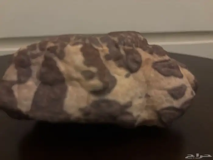 نزاتاتعاتغاع 1