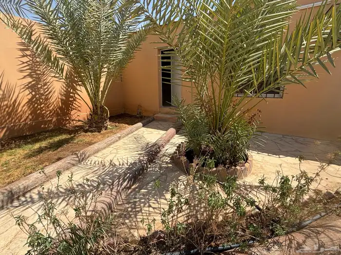 استراحة   ارض بصك واحد للبيع في ضرما 20