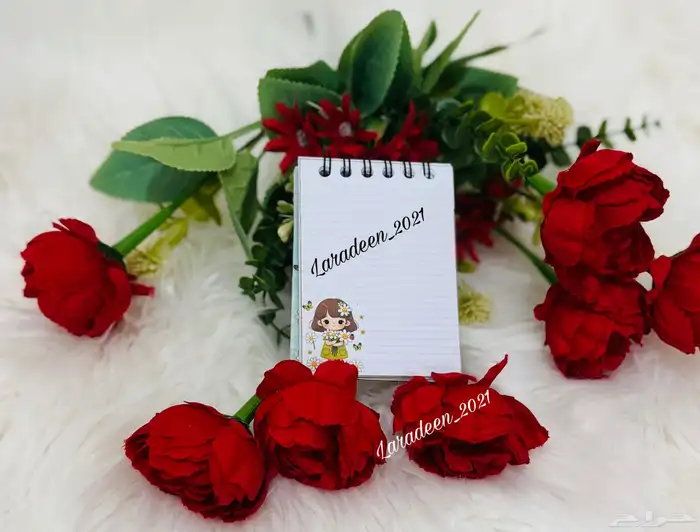 مذكرات صغيره بشخصيات كرتونيه منوعه 53