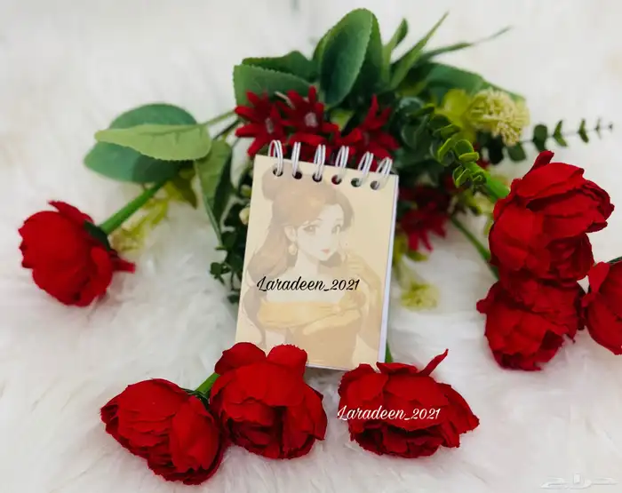 مذكرات صغيره بشخصيات كرتونيه منوعه 1