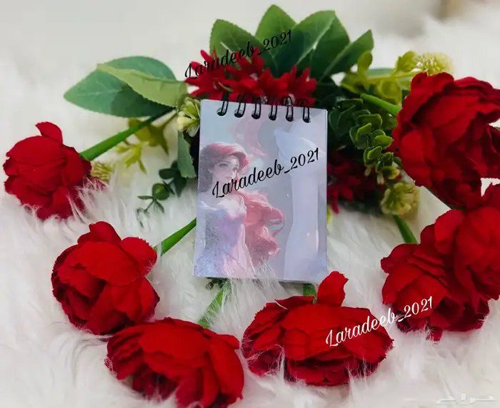 مذكرات صغيره بشخصيات كرتونيه منوعه 7