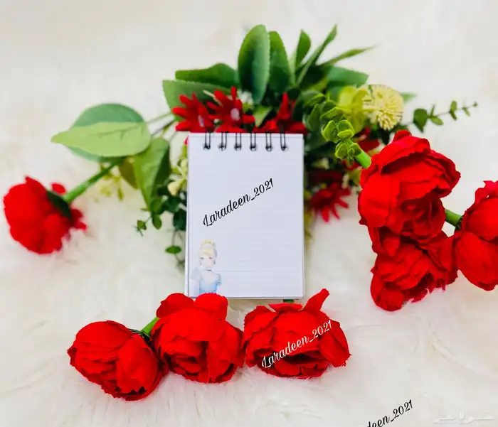مذكرات صغيره بشخصيات كرتونيه منوعه 14