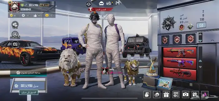 حساب ببجي نسخه عالمية لفل 79 0