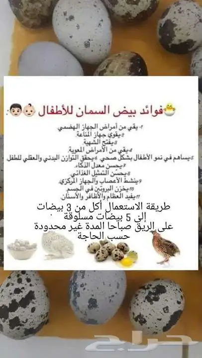 بيض سمان للأكل 3