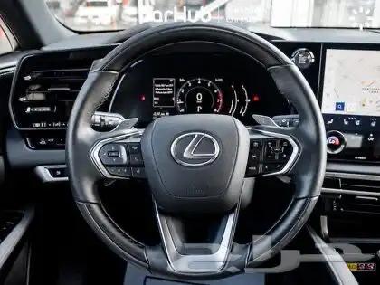 2023 Lexus RX 350 Luxury Package 20