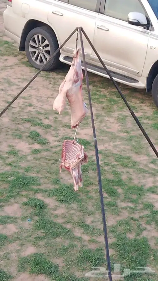 طباخ متنقل 9