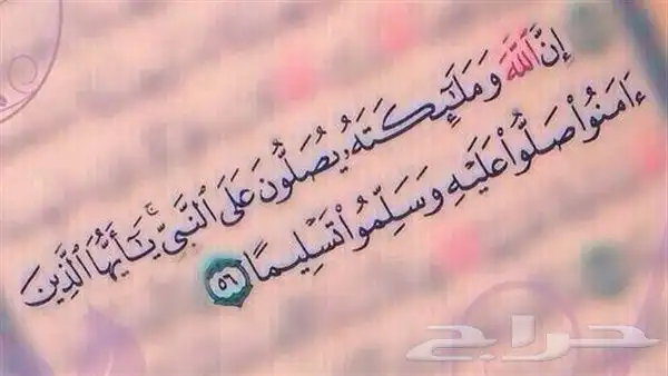 كداد من المدينه المنورة الى العلا 0