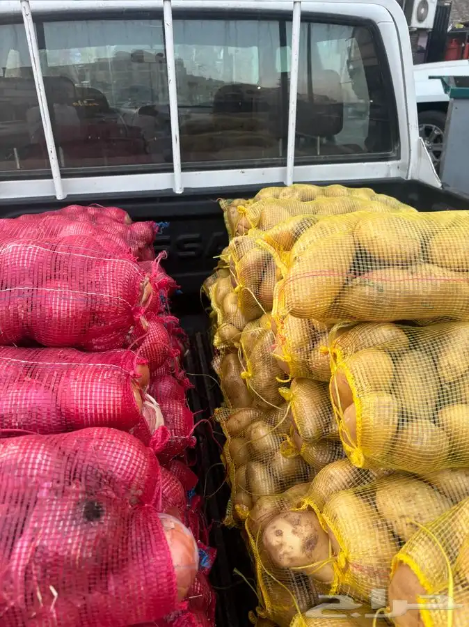 بطاطس وبصل نظيف بسعر الجملة 10 ريال 1