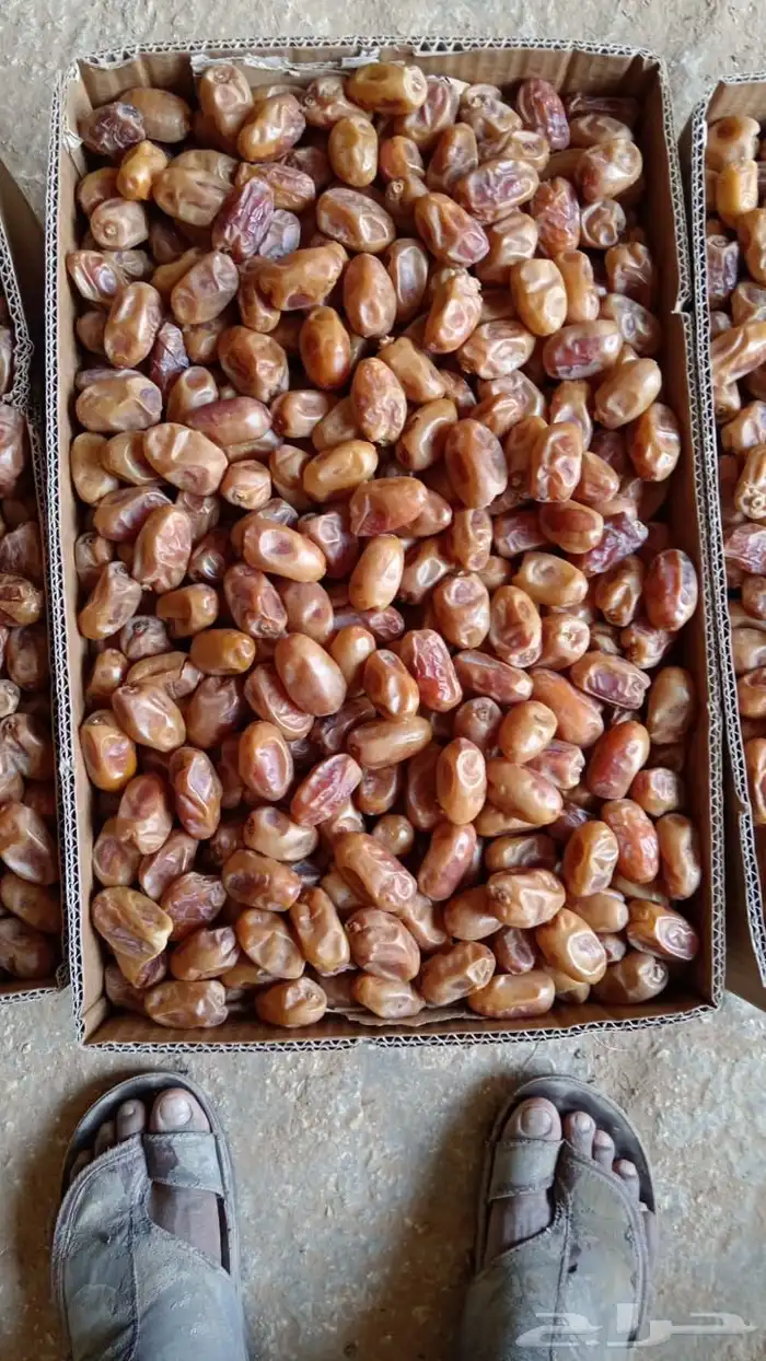 اخلاص نساح الكميه 40 طن 1