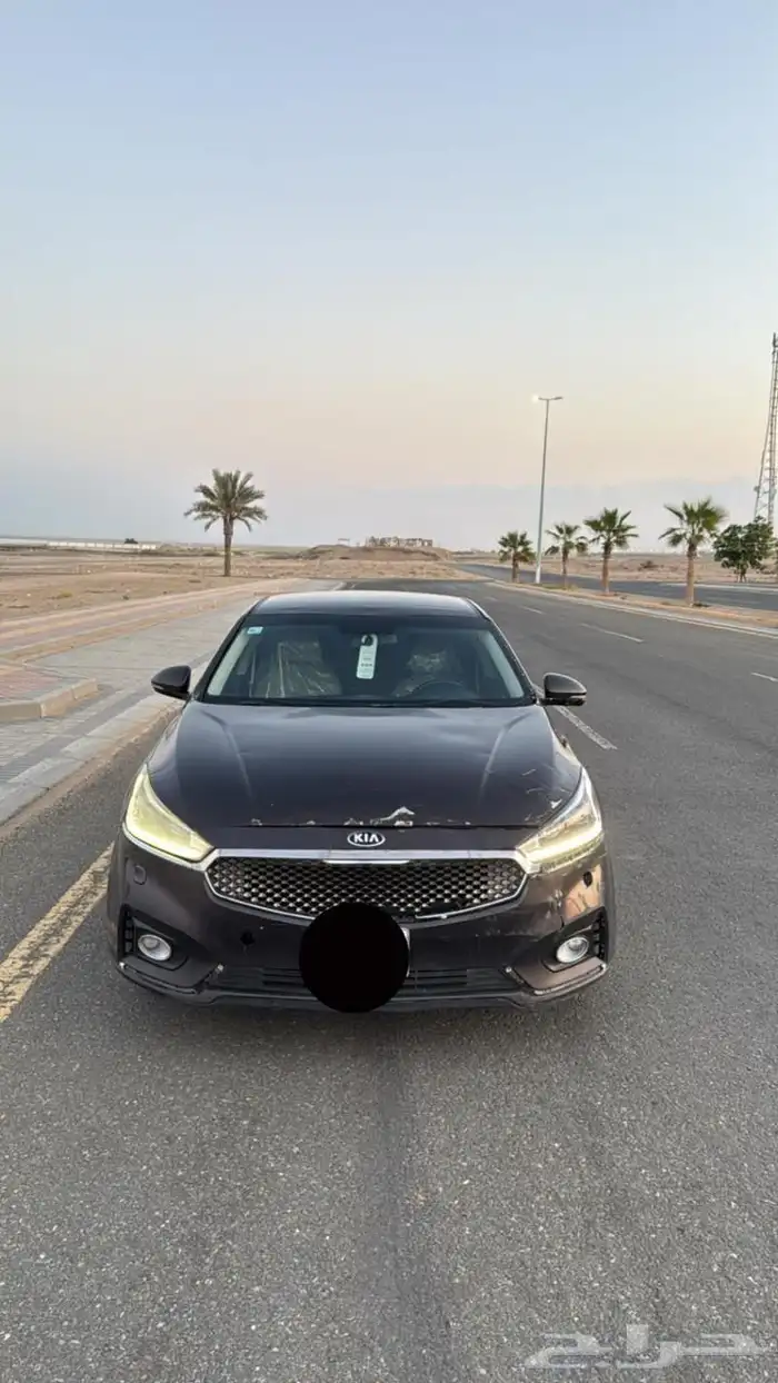 كدنزا 2018نص فل 8
