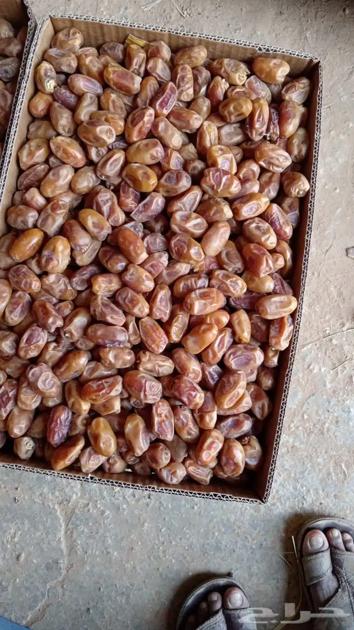 اخلاص نساح الكميه 40 طن 2