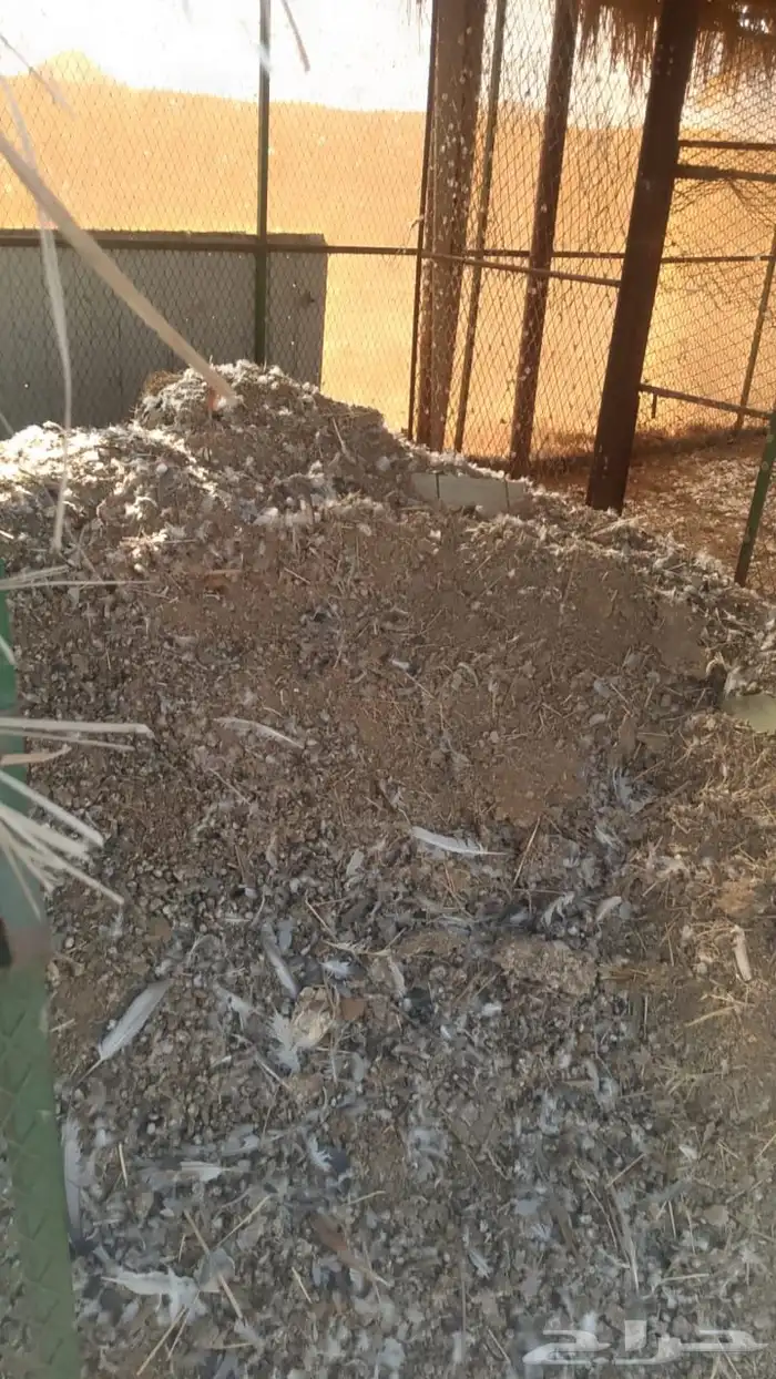 سماد طيور ( حمام ودجاج ) غير معالج 2