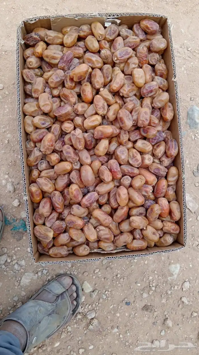 اخلاص نساح الكميه 40 طن 0
