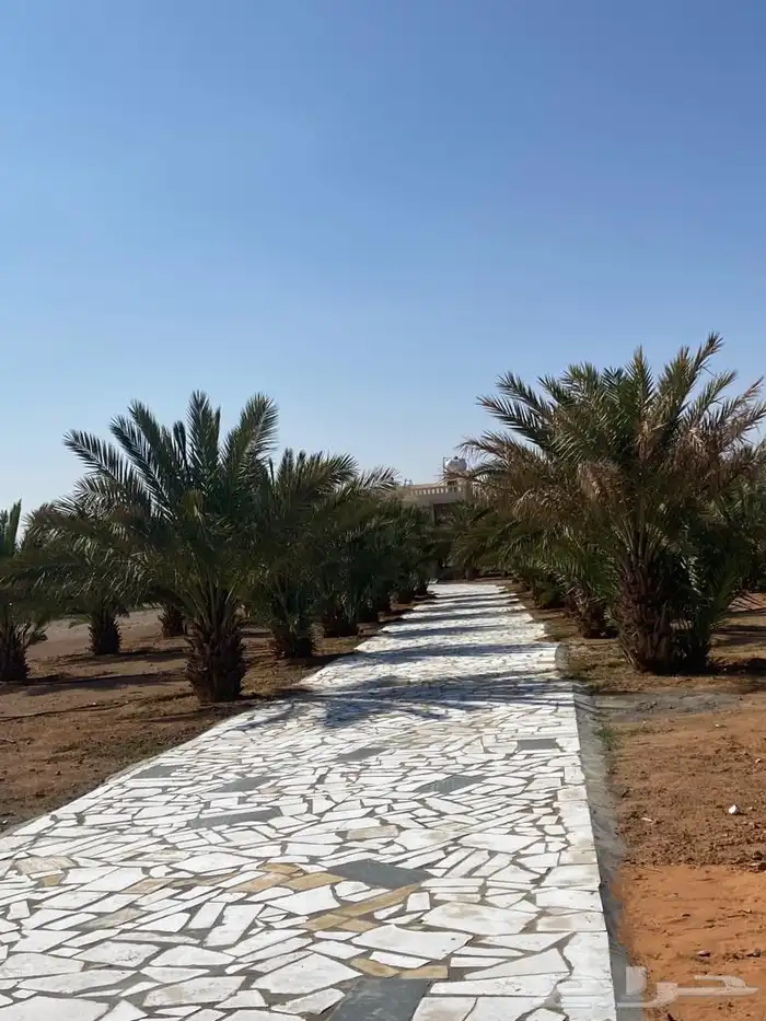 للبيع مزرعة 0