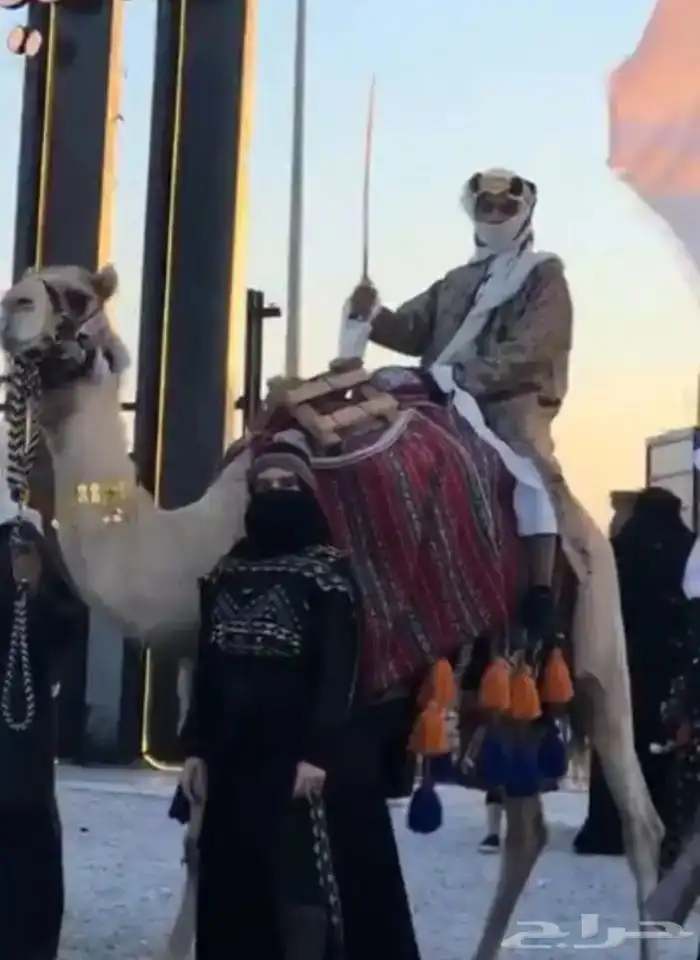 استعراض خيل وهجن لليوم الوطني والتاسيس التراث 1