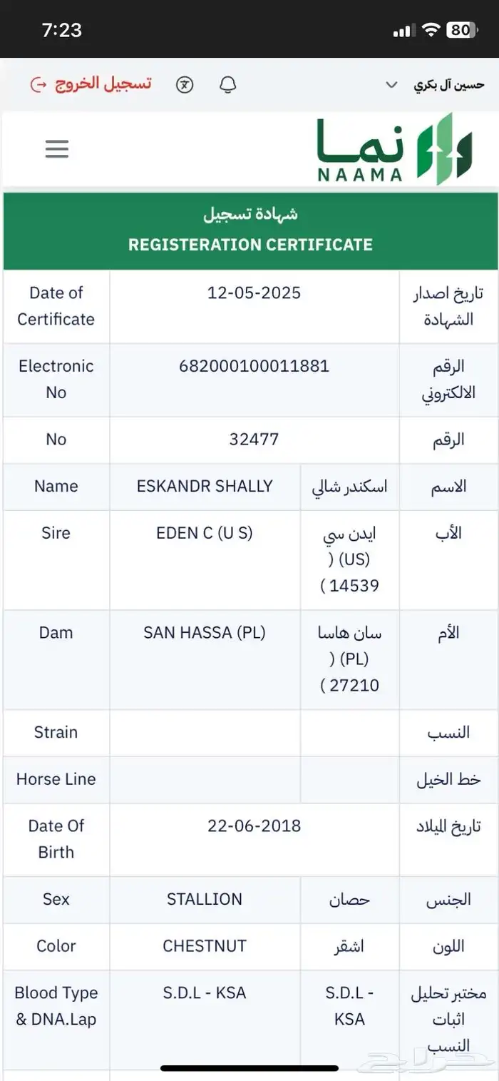 حصان واهو للبيع 3