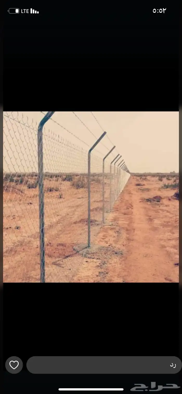 يوجد لدي جميع انواع النخيل نخل عربي بجميع انواعه ونخلواشنطن 8