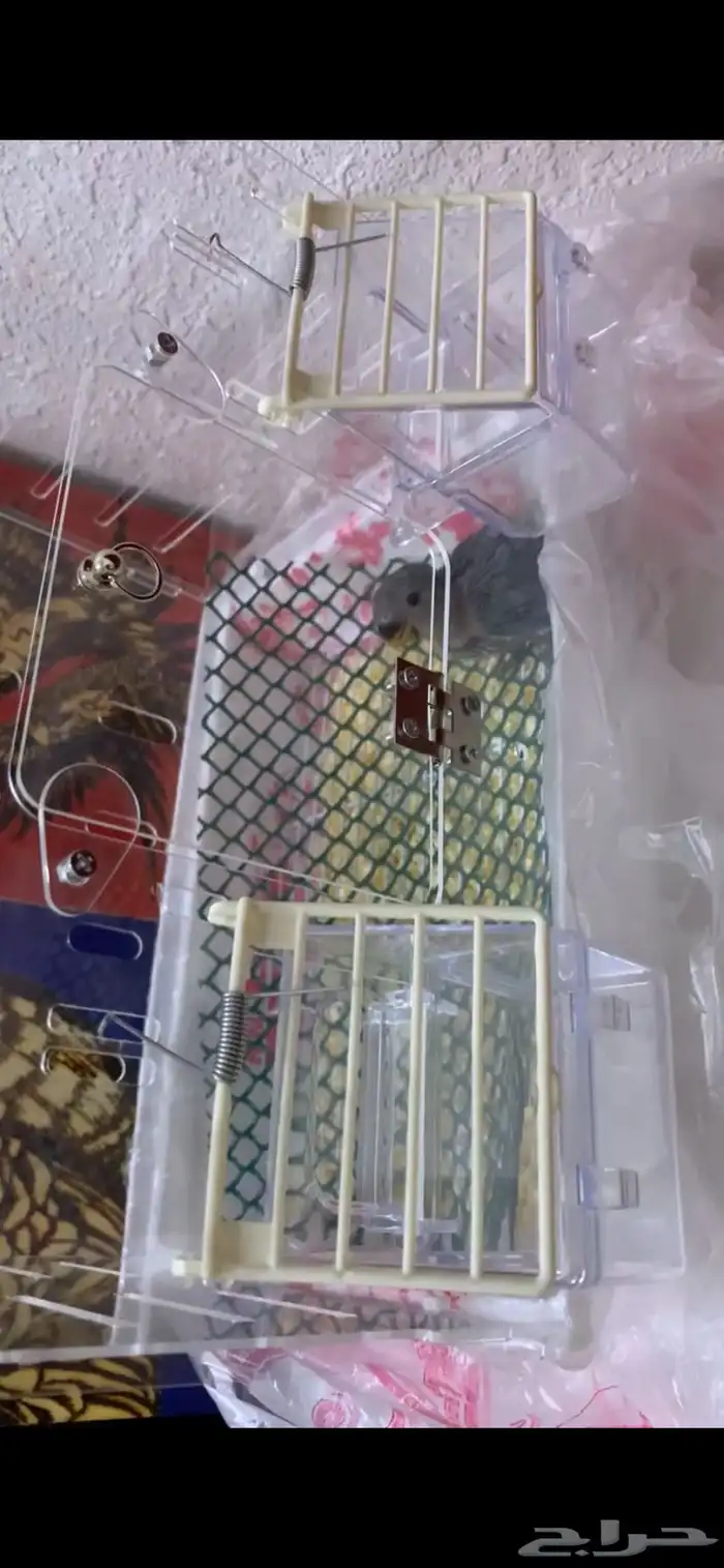 فرخ روز 4