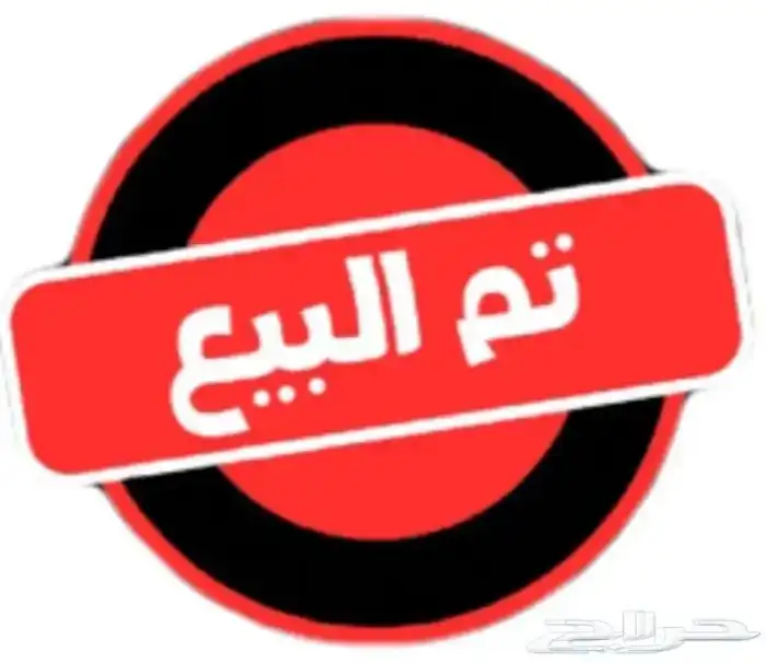 طقم ارانب شنشلا 0