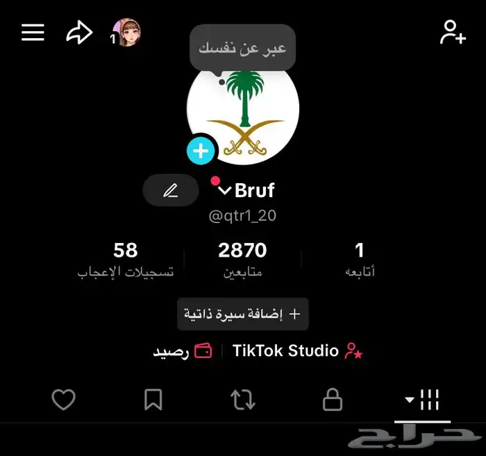حساب تيك توك ب 35 0