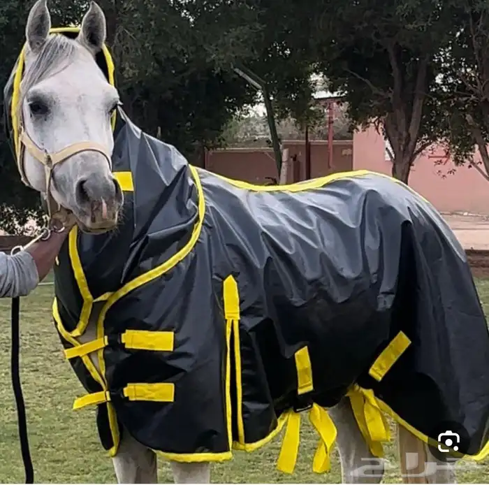 عدة خيل 0