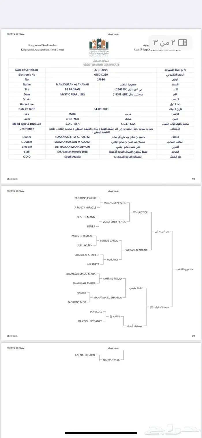 حصان مكس 2
