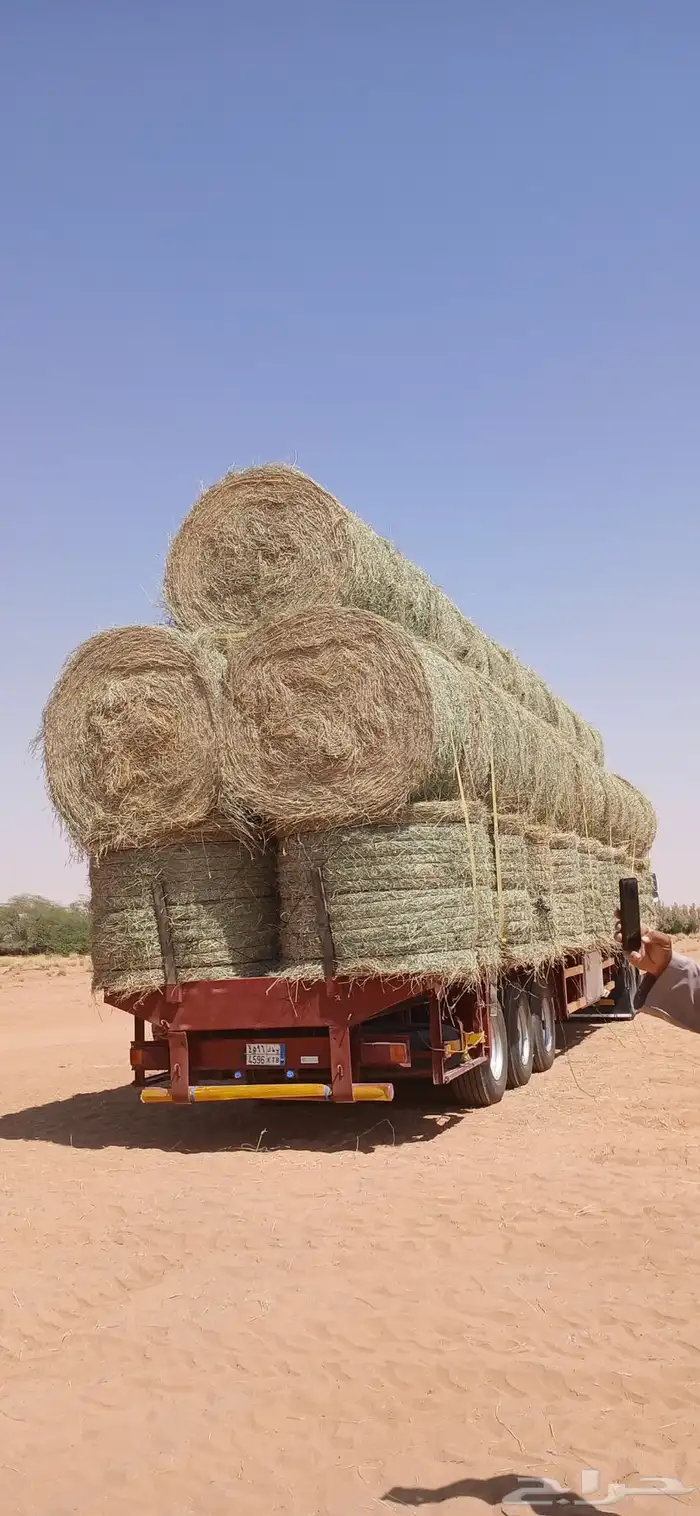 تريله سطحه لنقل الاعلاف والبضايع 2