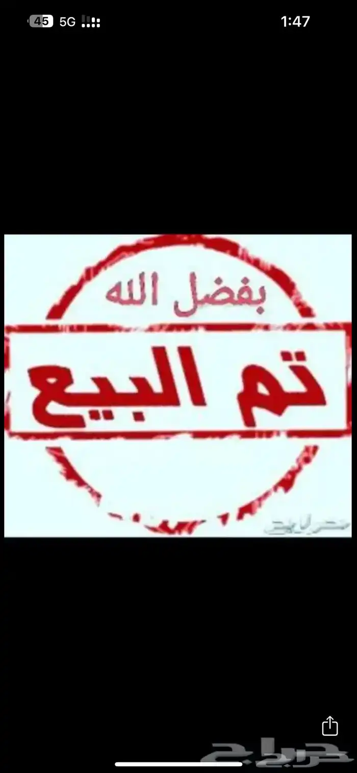 طبلون كرسيدا نظيف لايوجد تشققات شد بلد 1