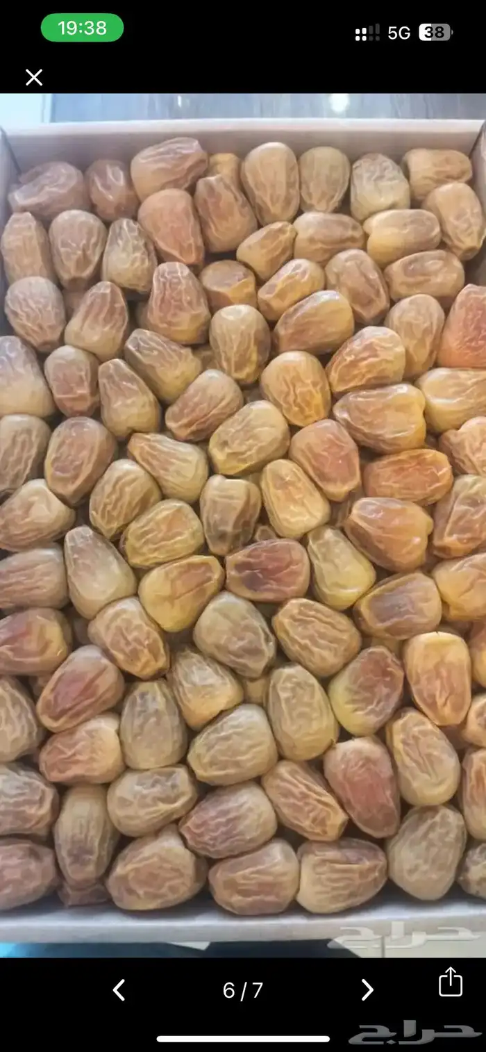 تمر سكري ومفتل من المزرعة 3