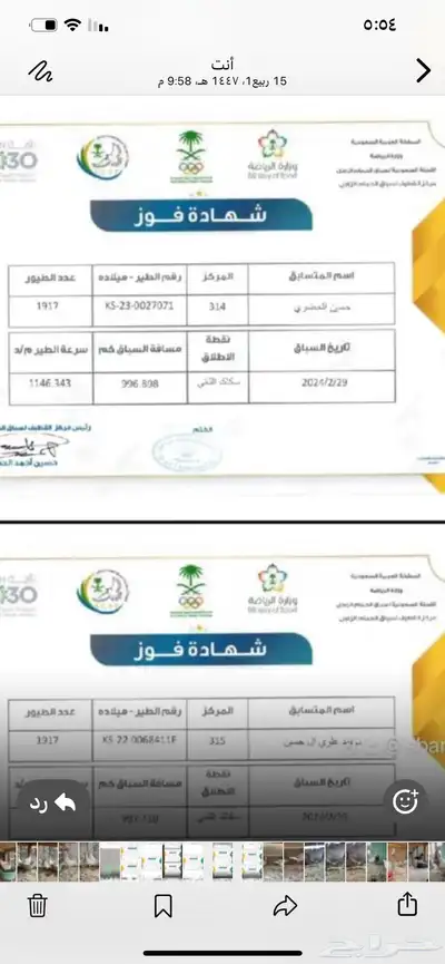 طبات زاجل ( سباق ) فاااخره index