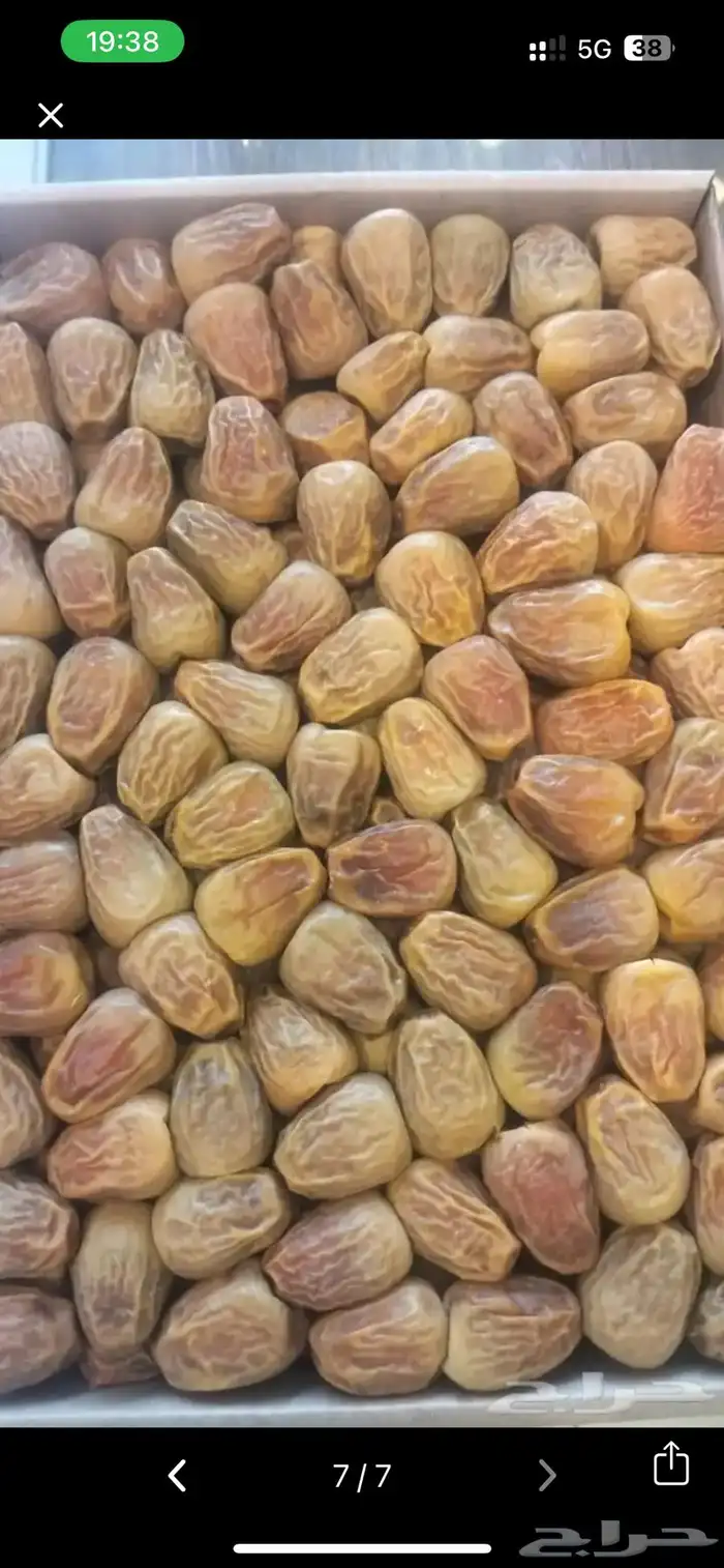 تمر سكري ومفتل من المزرعة 4
