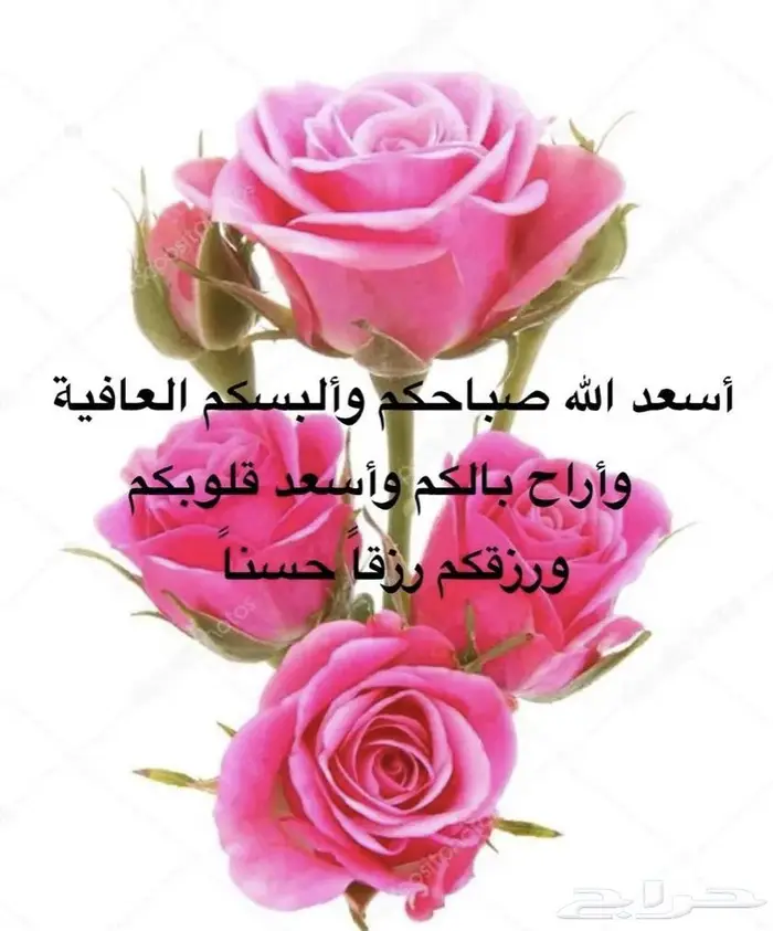 فاخر فضة فخامه مستعمل نصف سعر طقم عقد و حلق فقط 24