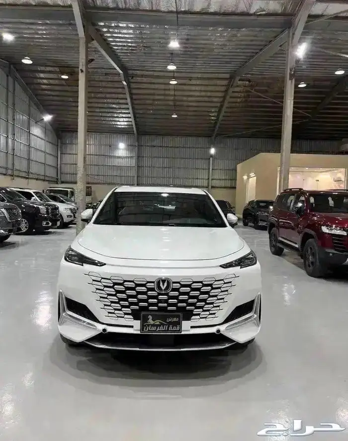 شانجان يوني كي 2023 0