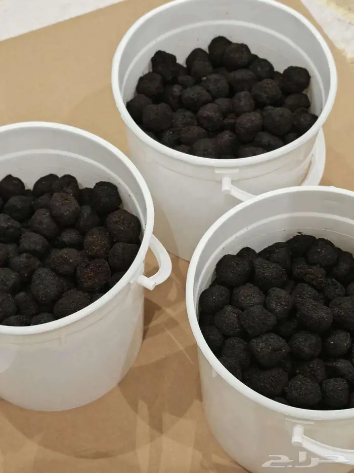 معمول دوسري حجم 1300 جرام بسعر الجملة 170 ريال 0