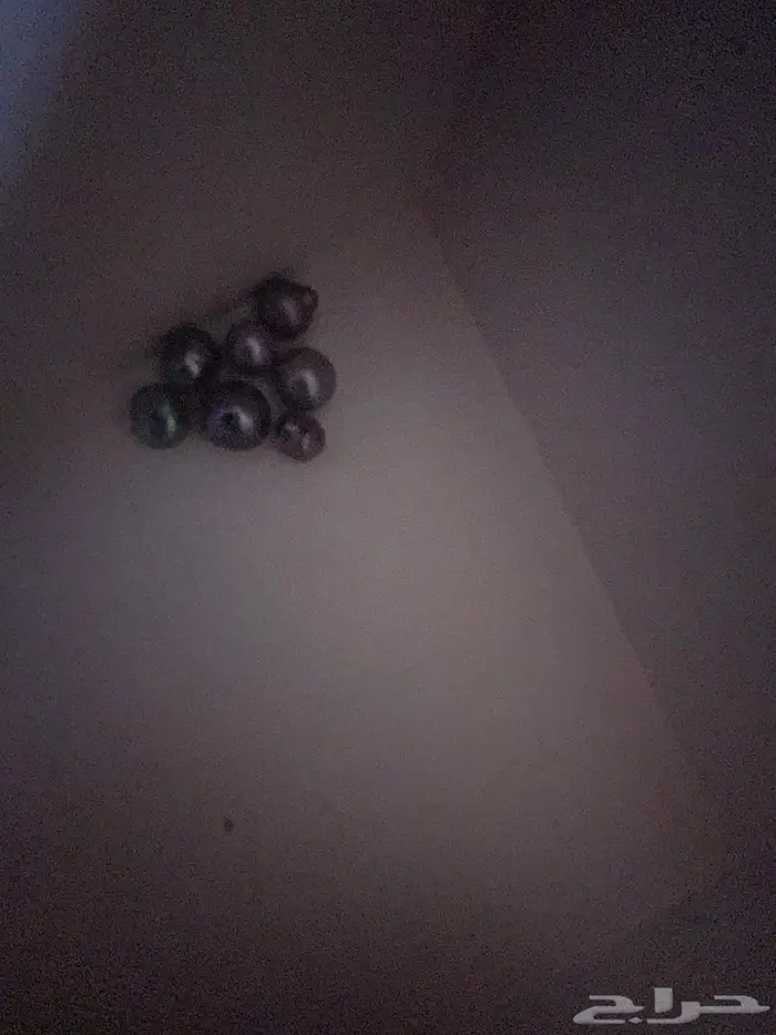 لؤلؤ طبيعي نادر 2