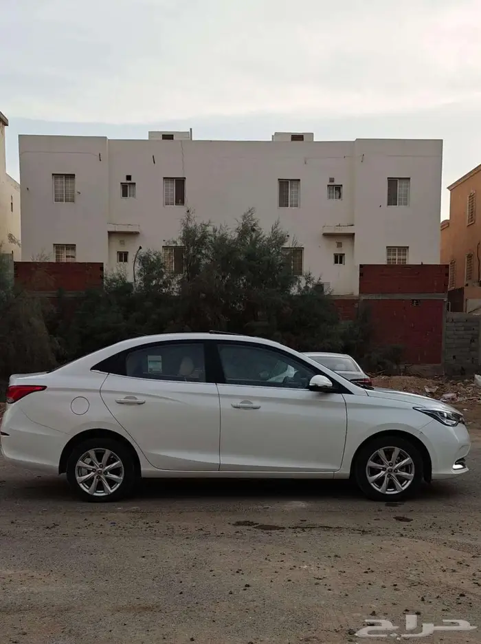 شانجان السفن 2025 2