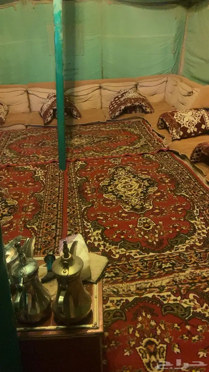 البيع المحل في السليم ب جميع اغراضه 5
