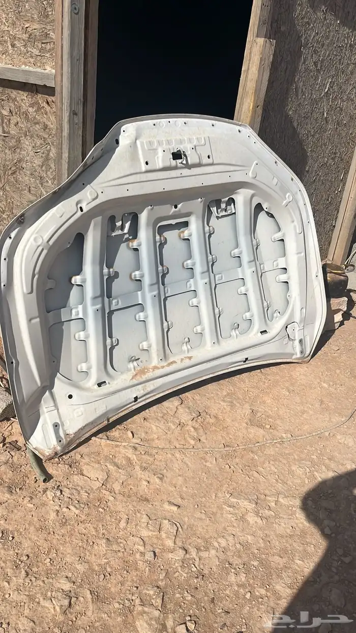 كبوت هلقس 2021 وكاله 1