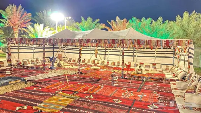 تاجير كتب تاجير كراسي 5