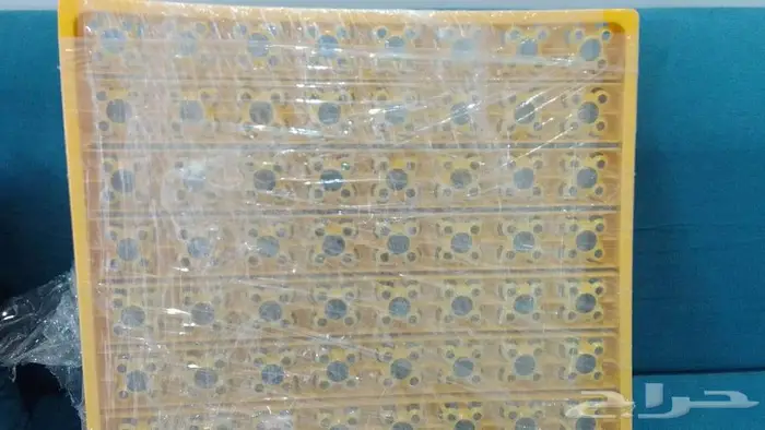 فقاصة بيض مع ملحقاتها 1