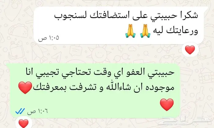 فندقة قطط منزلية 6