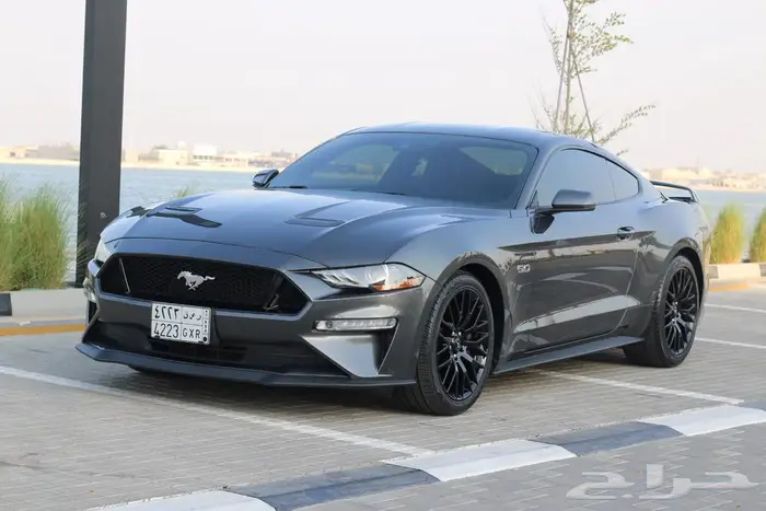 2019 Ford Mustang GT pp1 9