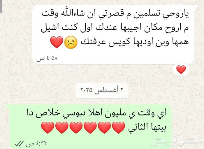فندقة قطط منزلية 5